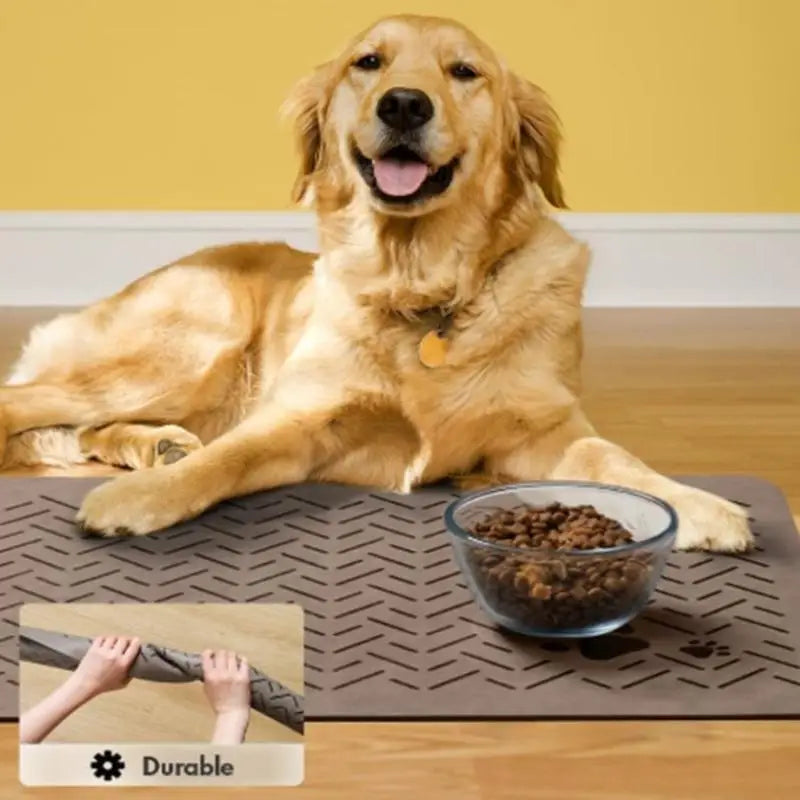 Lumiera PetMat™ – Tappetino Super Assorbente per Cani e Gatti